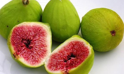6 lợi ích tuyệt vời của quả sung với sức khỏe con người