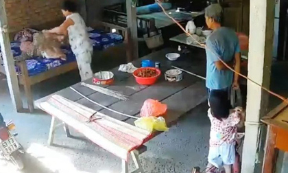 Con trai và con dâu ngược đãi mẹ già 88 tuổi ở Tiền Giang đối diện mức án nào?