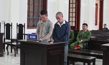 Hai anh em ruột liên thủ buôn ma túy cùng lĩnh án chung thân