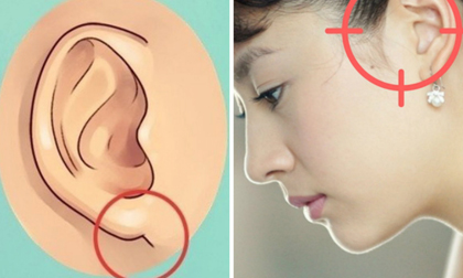 Phụ nữ có 3 tướng tai là 'phúc tinh hưởng lộc', thiên mệnh rực sáng mang tài lộc cho cả gia đình