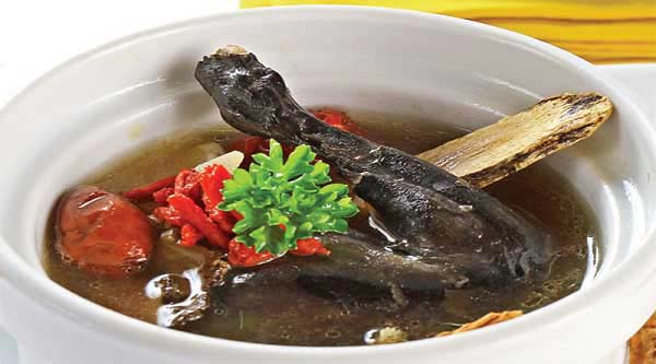 Gà tần thuốc bắc bổ dưỡng