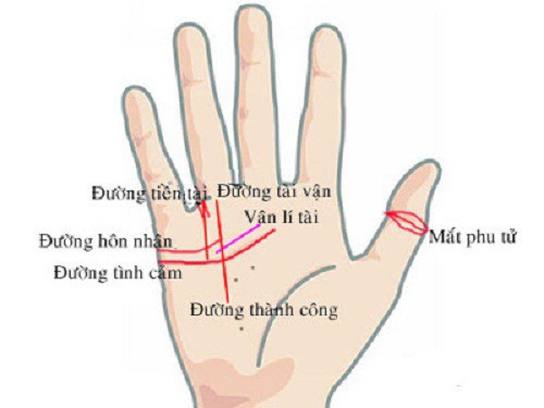 Tướng tay may mắn phát tài