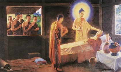 Phật dạy đời người có 4 thứ quả báo, tạo nhân gì thì sẽ gặt hái quả đó