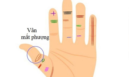 Xòe bàn tay và quan sát, nét quý tướng nếu xuất hiện dù bạn muốn nghèo cũng khó.