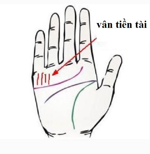 xem-tuong-tay-co-van-tien-tai
