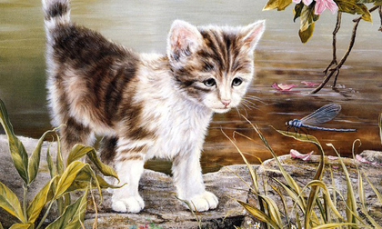 Tuần mới: 3 con giáp gặp nhiều may mắn hơn người, tiền nhiều khiến ai cũng hờn đỏ mắt