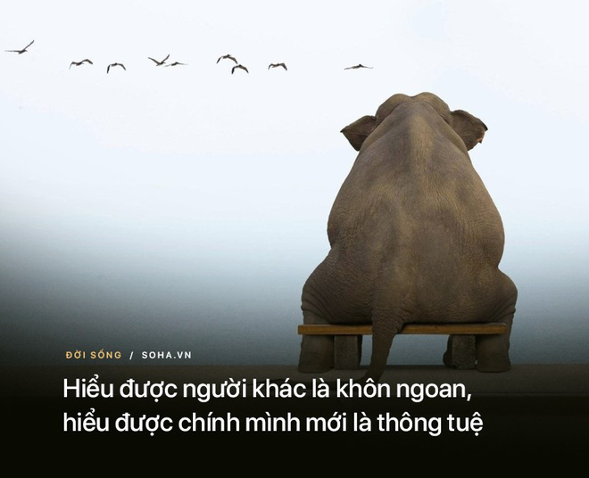 10 bài học từ những lời dạy của Đức Phật: Để không bị tổn thương hãy nhớ kỹ điều số 8 - Ảnh 2.