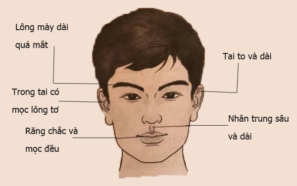 Tướng mặt đàn ông giàu có