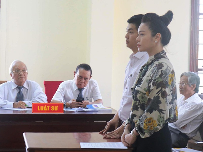 Kháng nghị vụ ca sĩ Nhật Kim Anh kiện nuôi con - ảnh 1
