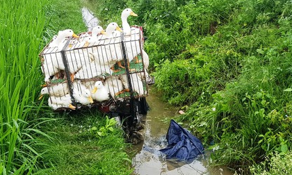 Phát hiện người đàn ông tử vong dưới mương nước bên chiếc xe máy chở đầy vịt
