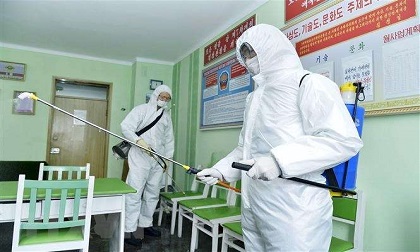 Hàn Quốc 'đau đầu' vì phát hiện 116 người dương tính trở lại sau khi được điều trị khỏi Covid-19