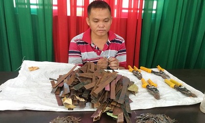 Đồng Nai: Khởi tố chủ tiệm sửa xe rải đinh trên quốc lộ 51