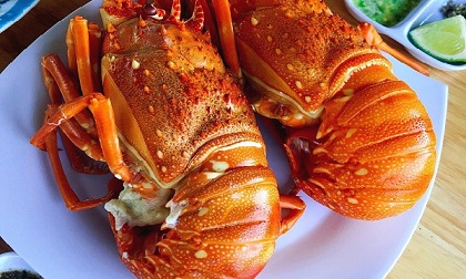 Tôm hùm hấp bia đậm đà, ngon cực phẩm