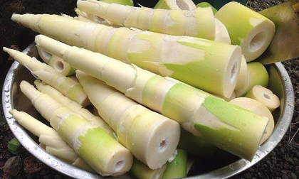 4 thực phẩm hại gan khủng khiếp nhưng người Việt vẫn 'mê mẩn'