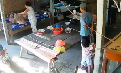Vợ chồng ngược đãi dã man mẹ già 88 tuổi lãnh án tù