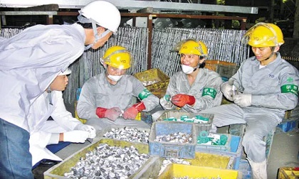 Chính sách mới có hiệu lực từ tháng 5-2020 người lao động nên biết