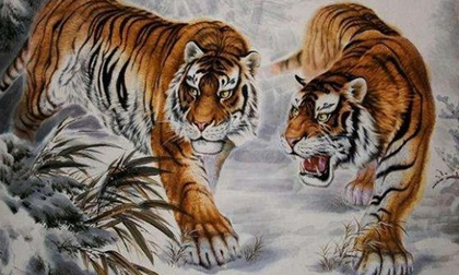 Cuối tháng 5 Canh Tý: 3 con giáp ngồi không cũng kiếm ra tiền, thoải mái làm những gì mình thích