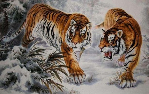 Tuổi Dần may mắn trong thời gian cuối tháng 5