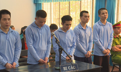 Vụ người đàn ông bị đánh chết vì nghi ngờ bắt cóc trẻ em: 5 thanh niên vào tù