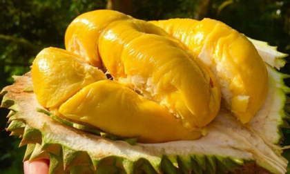 4 thực phẩm đại kỵ với sầu riêng, ăn chung có thể ngộ độc