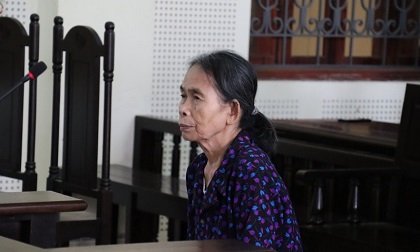Bà nội sát hại cháu 11 tuổi lãnh 12 năm tù