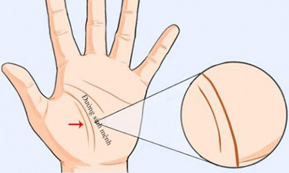 Soi tướng bàn tay phụ nữ biết ngay số sướng - khổ
