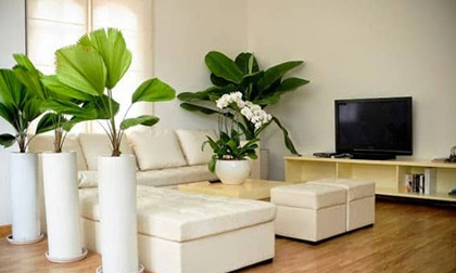Làm cật lực vẫn lụi bại, gia chủ nhanh trí thay đổi 4 điểm phong thủy trong ngôi nhà, tiền vàng về đầy tay