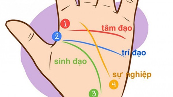 Tướng bàn tay phụ nữ giàu có