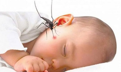 Trẻ sơ sinh bị muỗi đốt “chuyện nhỏ” nhưng hậu quả to