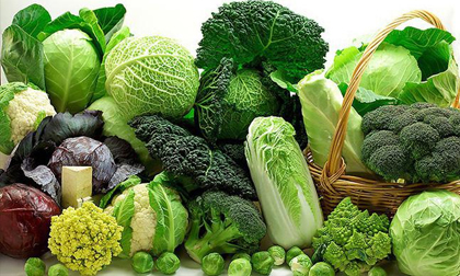 5 sai lầm cực kỳ nguy hiểm khi ăn rau xanh, 99% người Việt đều mắc phải