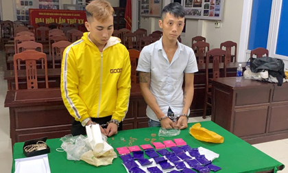 Hai thanh niên tàng trữ 6.000 viên ma túy trên xe taxi