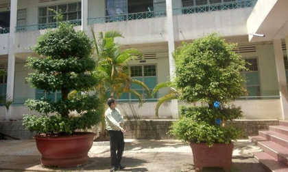 Công an vào cuộc vụ học sinh lớp 6 để lại thư rồi nhảy lầu tự tử