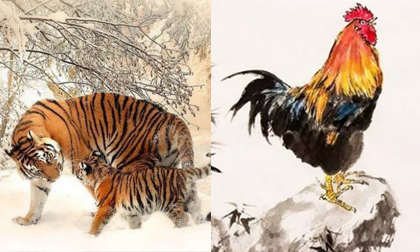 Tử vi 12 con giáp thứ 4 ngày 17/6/2020: Dần được quý nhân phù trợ, Dậu gặp áp lực