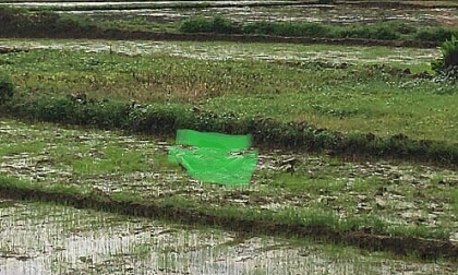 Thảm án tại Tuần Giáo, Điện Biên: 3 người tử vong