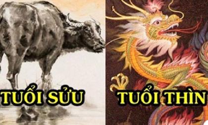 Tử vi thứ 3 ngày 23/6/2020 của 12 con giáp: Sửu có một ngày may mắn; Thìn và người ấy xảy ra mâu thuẫn