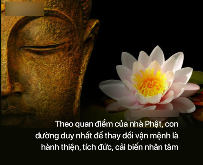 Sở hữu 1 đặc điểm này, con người càng sống càng có phúc: Bạn có biết đó là gì? - 1