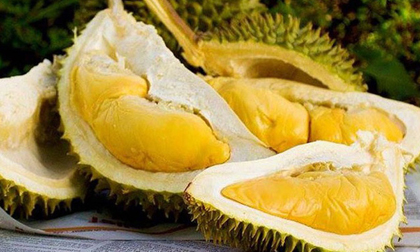 Những loại hoa quả mùa hè bà bầu ăn nhiều hại con