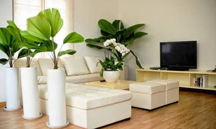Thay đổi phong thủy trong nhà đón Thần Tài ghé thăm, gia chủ đổi vận nhanh chóng