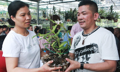 Danh tính đại gia Hà thành chi hẳn 5 tỷ mua bông hoa nhìn như rau muống