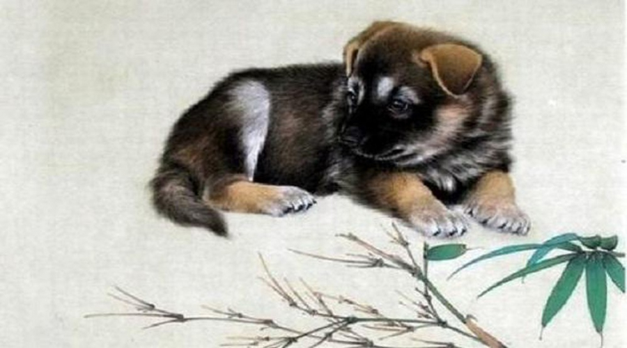 Tử vi con giáp may mắn 3 năm tới