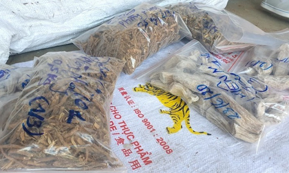 Mối nguy hại từ “rác thuốc” đông y trôi nổi trên thị trường và chiêu trò móc túi con bệnh