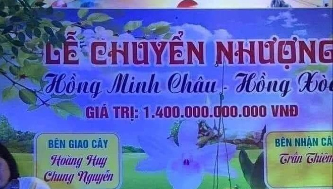 Sự thật 'ngã ngửa' về cây lan đột biến hồng minh châu có giá 1.400 tỷ đồng