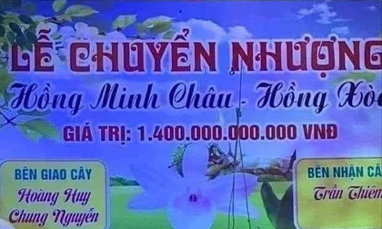 Sự thật 'ngã ngửa' về cây lan đột biến hồng minh châu có giá 1.400 tỷ đồng