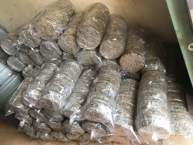 Bạn bè xót thương trước cái chết của cô gái 21 tuổi tử vong do nổ nồi hơi: 'Thương em đến quặn thắt ruột gan' - 7