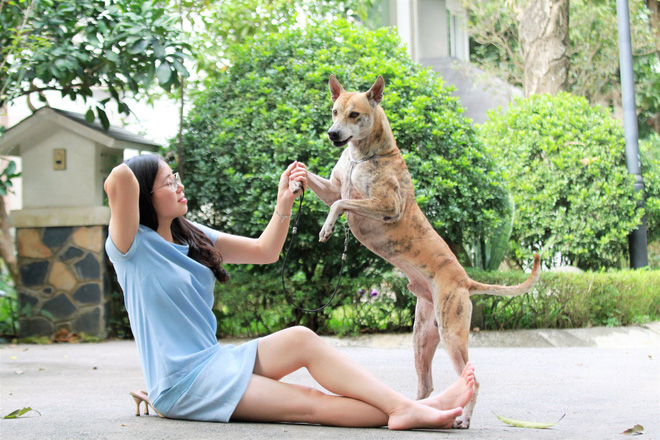 Những thú chơi 'bình dân' giá bạc tỷ thỏa mãn giới đại gia Việt Nam - 1