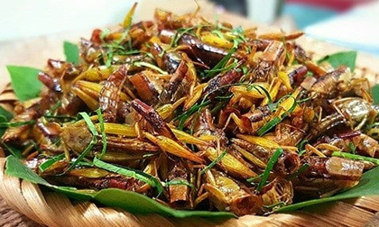 Nông dân thu tiền triệu nhờ đặc sản 'tôm bay', dân thành phố lùng mua cũng không có