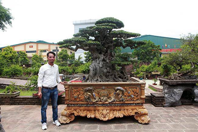 Anh bán hàng rong kiếm 20 nghìn mỗi ngày thành đại gia chi 16 tỷ mua cây cảnh 'khủng' - 3