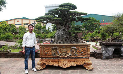Anh bán hàng rong kiếm 20 nghìn mỗi ngày thành đại gia chi 16 tỷ mua cây cảnh 'khủng'