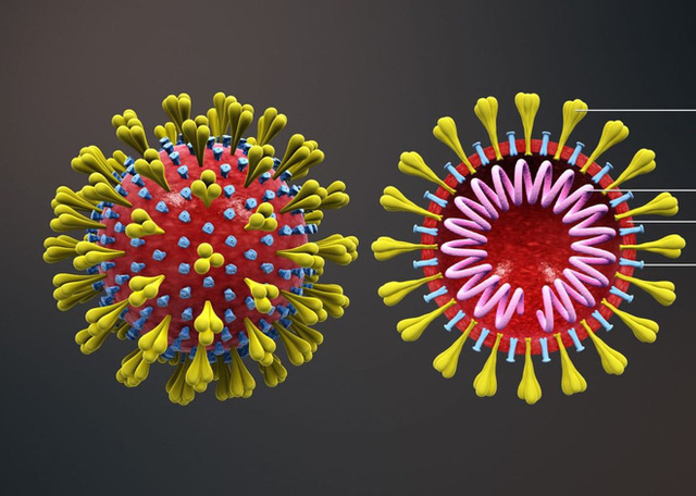 '. Tiến sĩ tại BV Nhi số 1 tại Mỹ phát hiện: Virus SARS .'