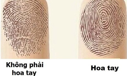 Người có số hoa tay này quý như kim cương, cuộc đời gặp nhiều may mắn hạnh phúc